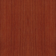 XM8000_69 Цвет оранжевый (2) 