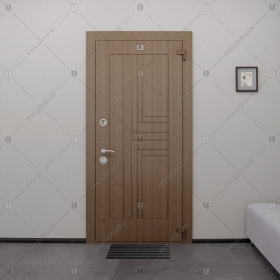 Дверь входная взломостойкая "Асия" БАСТИОН-2