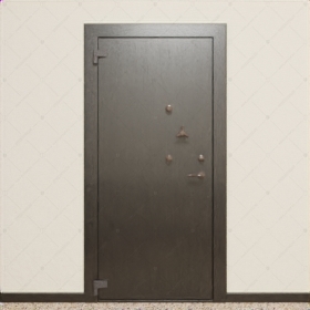 Комплект из двух дверей: пожаростойкая внутренняя дверь "Лахеса" БАСТИОН-3 и выкатной книжный шкаф с полками