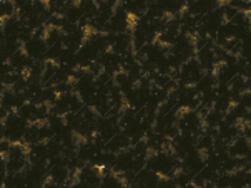 01390.O0956 DOVA 956 EP