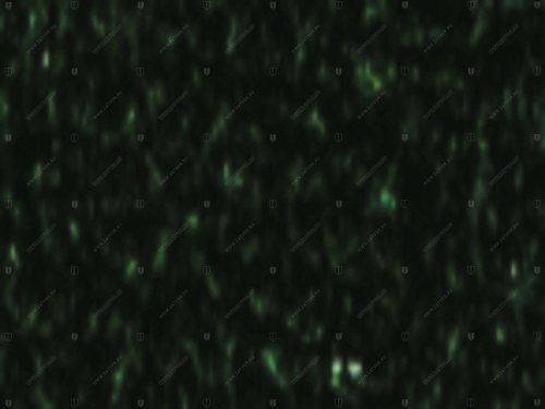 01390.ON199 YESIL-D EP зелёный