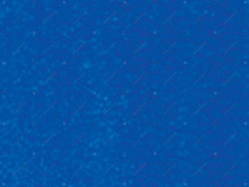 02248.05010 5010 EP WRI синий