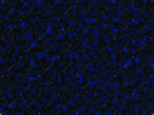 04390.ON288 DOVN288 PE синий