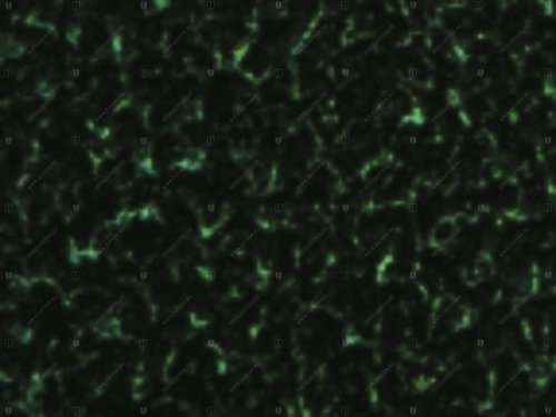 04390.ON426 DOVN 426 PE зелёный