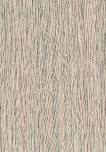 19 старое дерево