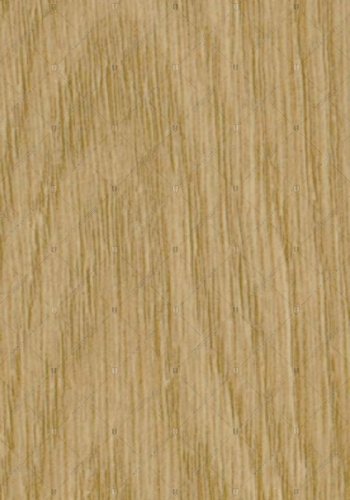 2019 дуб солнечный