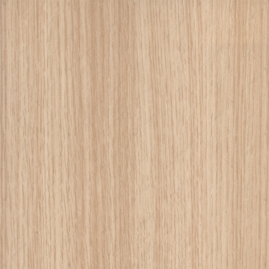 Дуб Деревенский