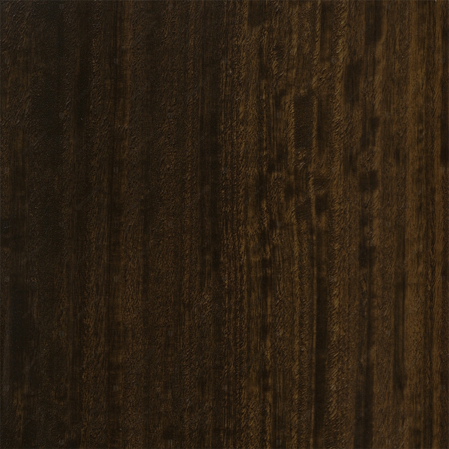 Эвкалипт Морёный (Frisse)