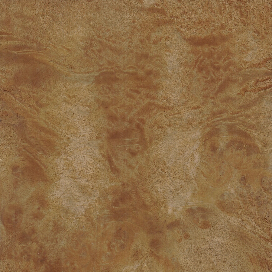 Имбая Корень