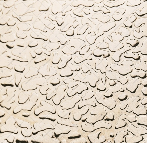 кожа шампань