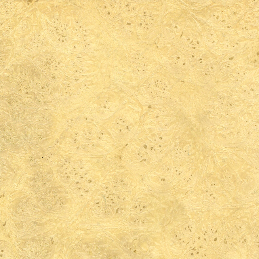 Лаурель Корень