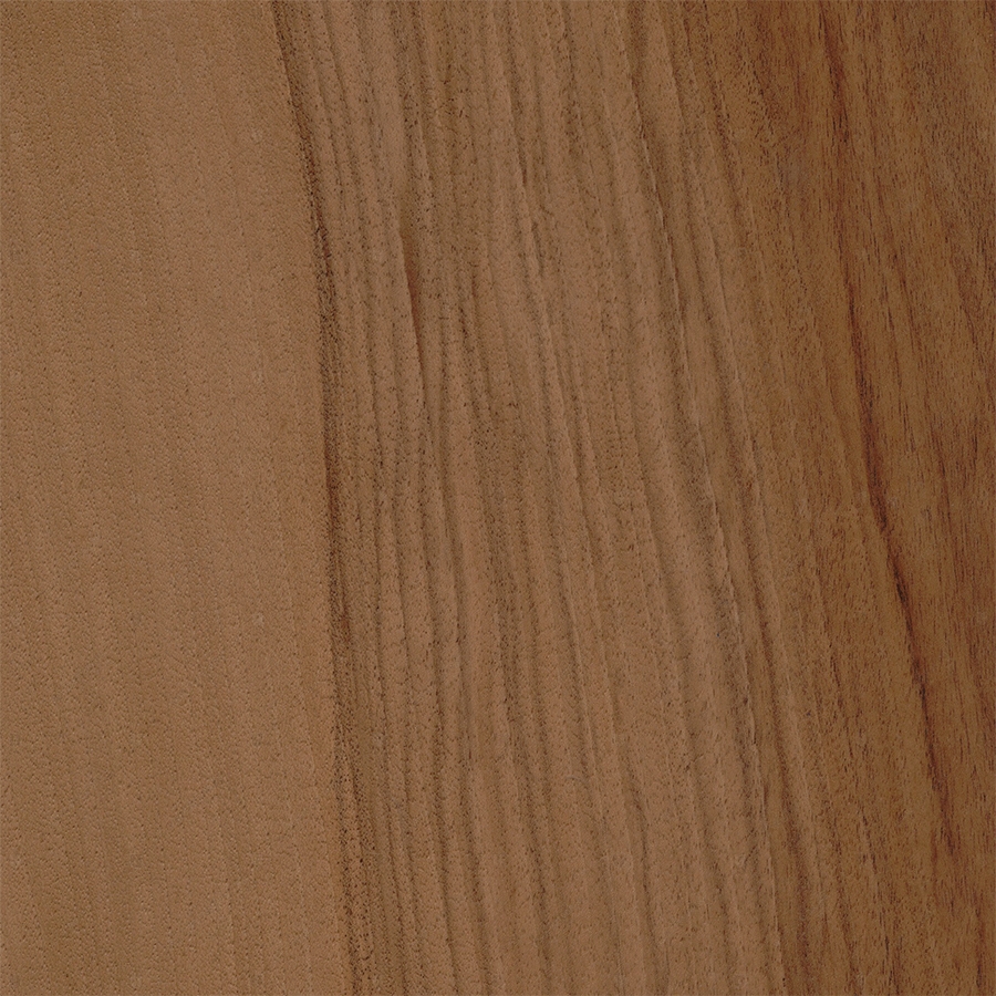 Орех Европейский (Colored)