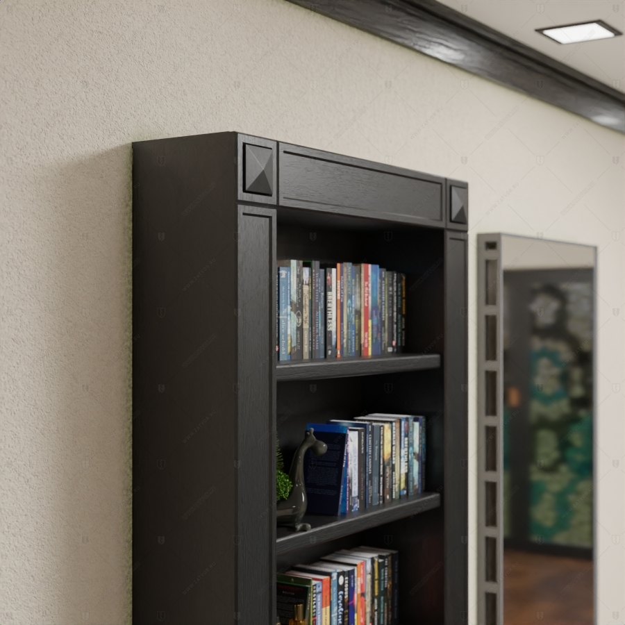 Комплект из двух дверей: пожаростойкая внутренняя дверь "Лахеса" БАСТИОН-3 и выкатной книжный шкаф с полками_12