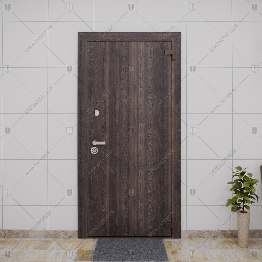 Взломостойкая входная дверь "Анатолия" БАСТИОН-1_2