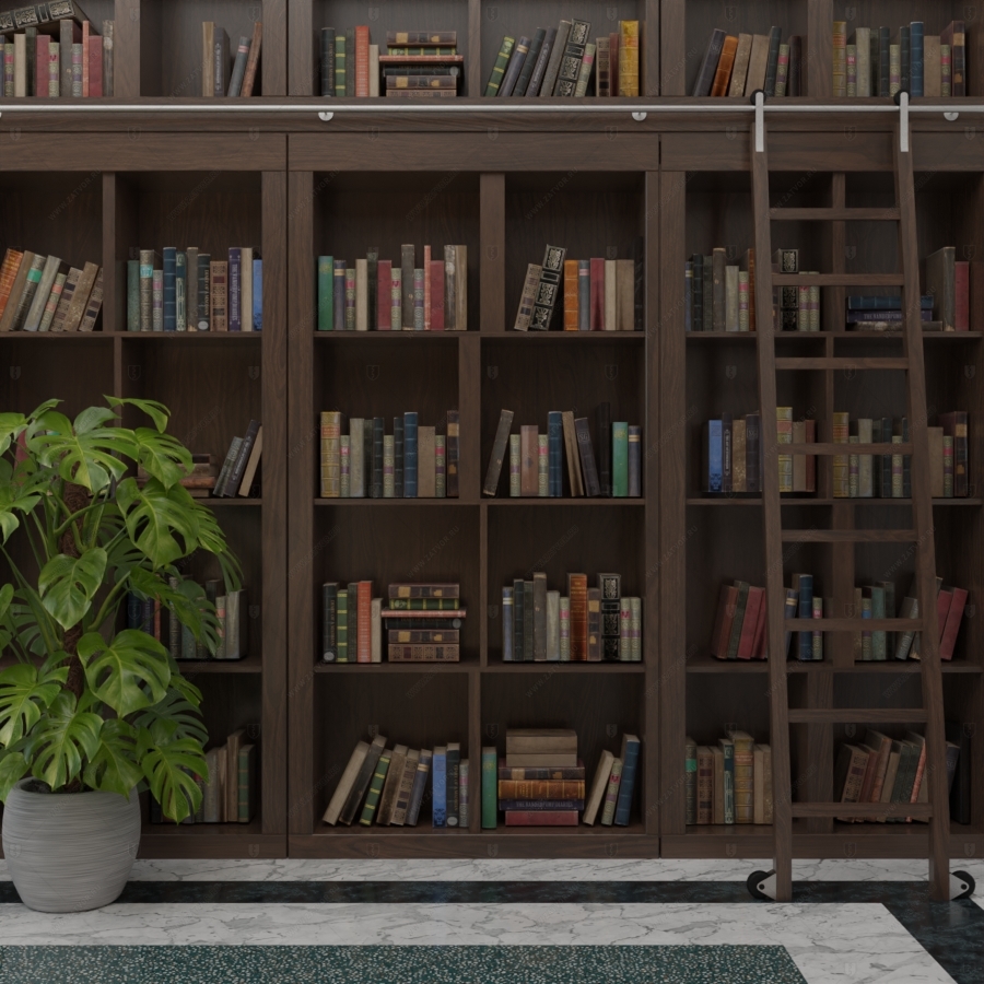 Скрытая дверь "Аргос" СуперЛюкс с панелью в виде книжного шкафа